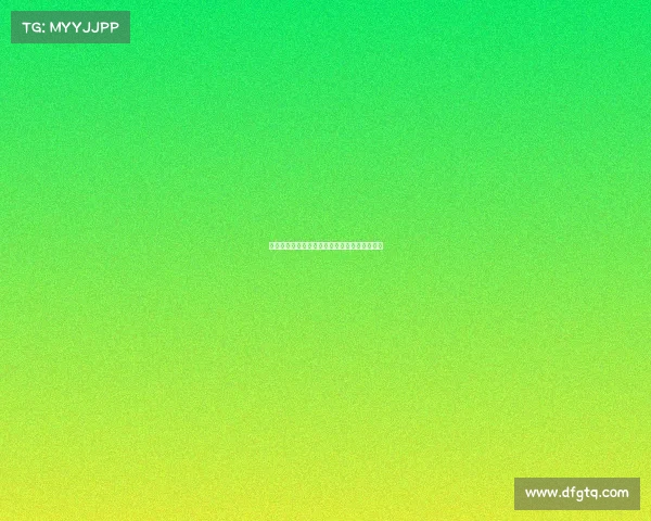 布伦瑞克队重回德甲巅峰之路：挑战与机遇并存